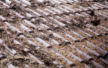 West Dean roof cleaning companies