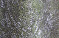 West Dean fibreglass roof work